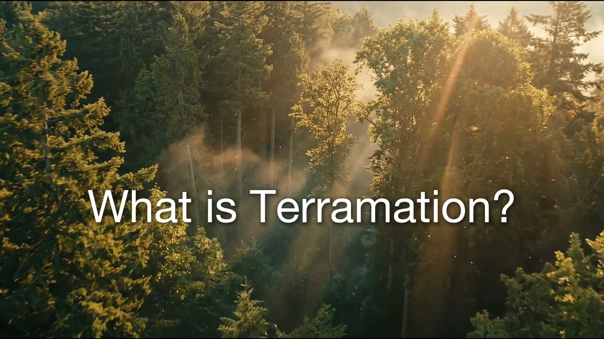 The opening frame of The Natural Funeral's terramation film, reading What is Terramation?