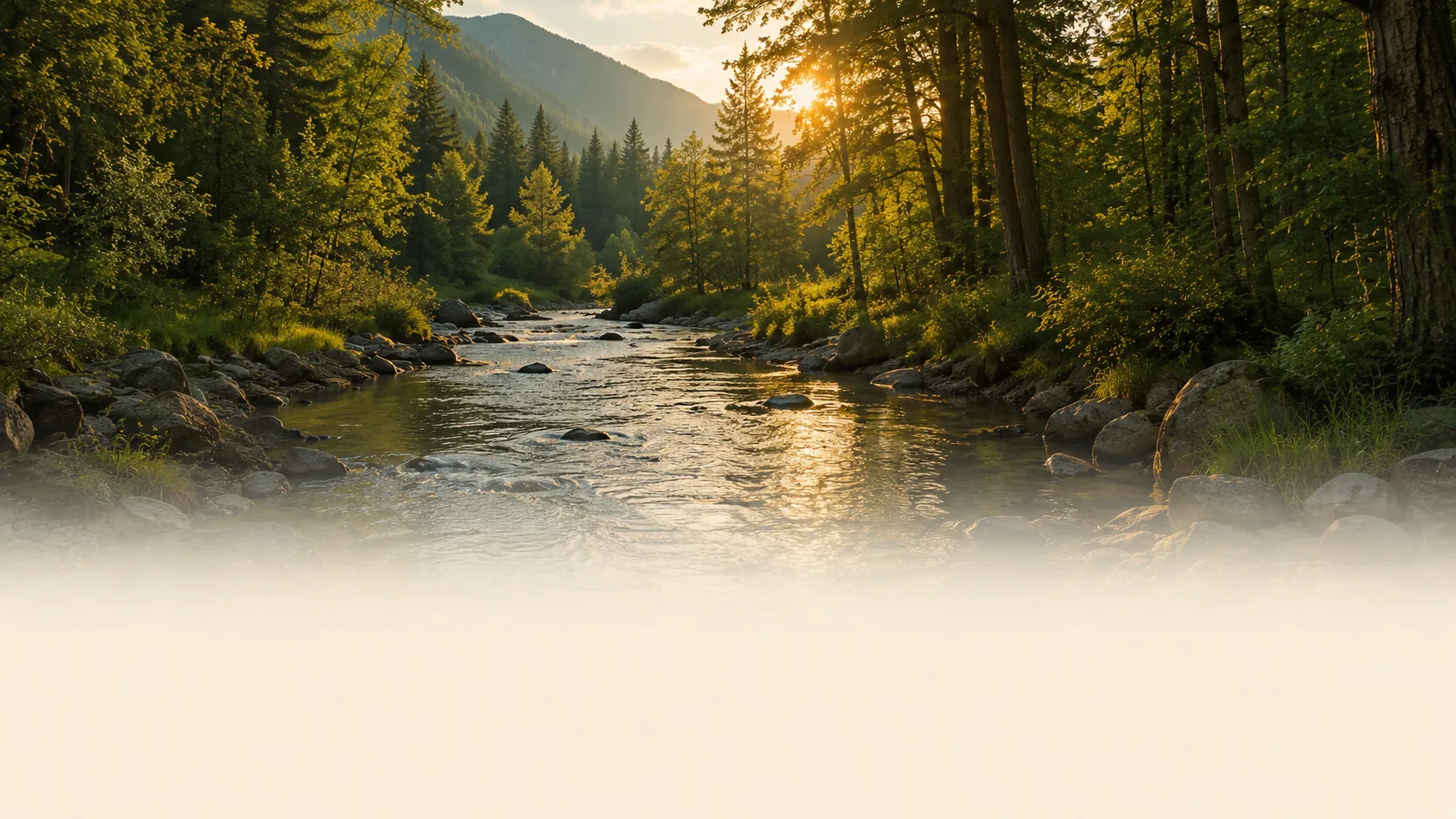 Sunlight breaking through a forest onto a rocky mountain stream