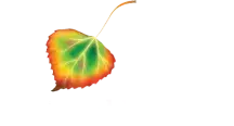 The Natural Funeral